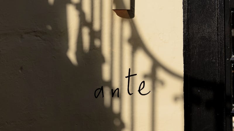 Ante - Photo 3